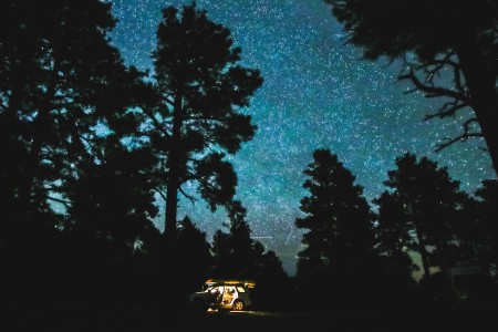 beautiful-shot-trees-starry-night-sky.jpg