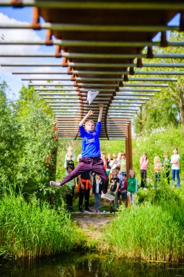 Obstacle parcour.jpg