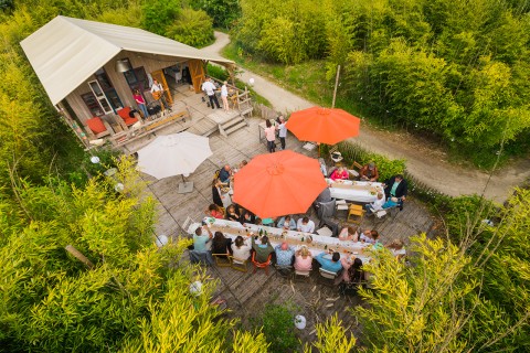 Jungle Lodge.jpg