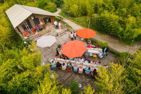 Jungle Lodge.jpg