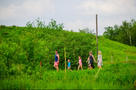 DSC_4355.jpg