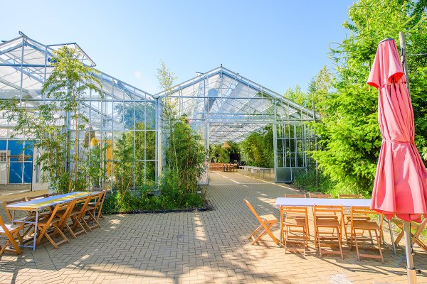 kas entree en terras.jpg