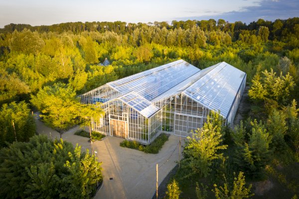 Kopie van Kaca Bambu drone (7).jpg