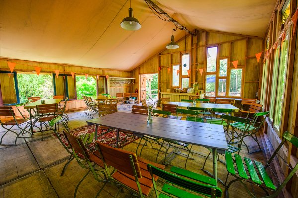 jungle lodge binnenkant.jpg