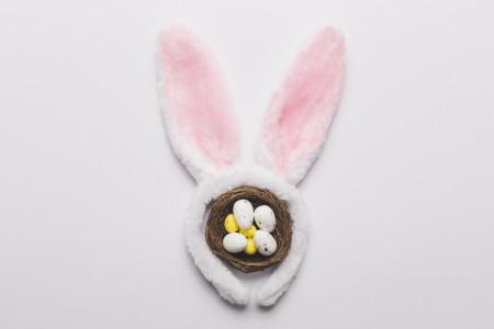 bunny-ears-near-nest.jpg