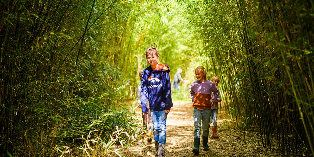 Bamboebos_DCS1578 (1).jpg