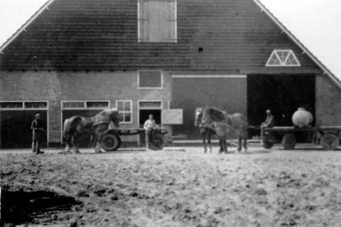 eko_boerderij_de_eerste.jpg