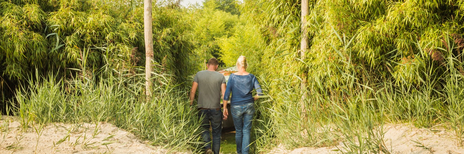 bamboejungle wandeling Netl