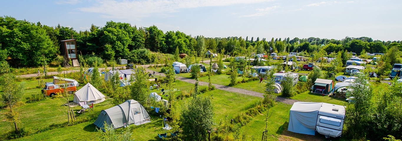 DSC_8050.jpg