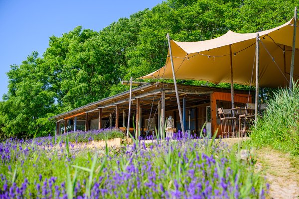 Mediteriaans terras heuvel op.jpg