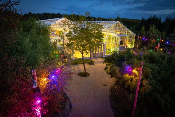 Kopie van Kaca Bambu (6) - kopie.jpg