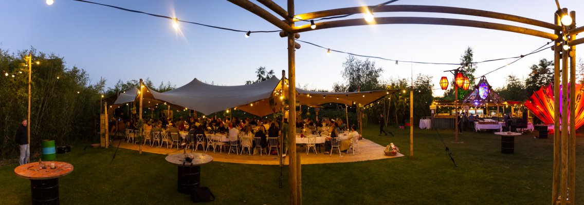 Grote events festivalveld bamboebos (17).jpg